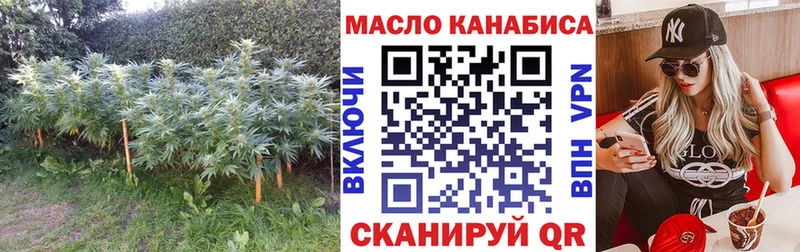 Купить закладки  Курлово  ТГК вейп с тгк 
